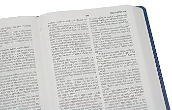 Legacy Standard Bible, 2 Column Verse-by-Verse Paste-Down